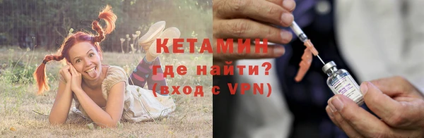шишки Абинск