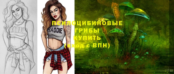 шишки Абинск