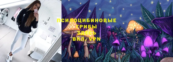 гашиш Абаза