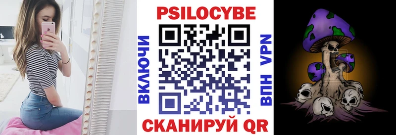 Псилоцибиновые грибы мухоморы  наркотики  Пудож 
